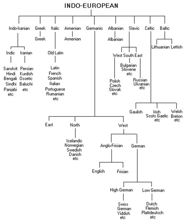 Diagram showing the Indo-European language family tree with branches and relationships
